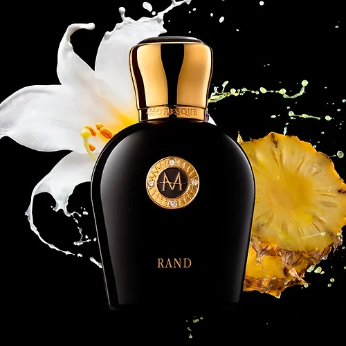 RAND - immagine 2
